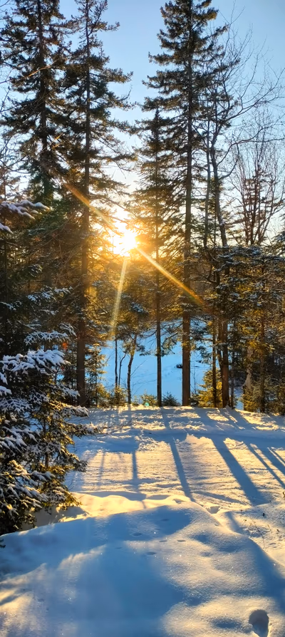 Parc national de la Mauricie, entrée Saint — photo 18