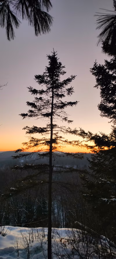 Parc national de la Mauricie, entrée Saint — photo 19