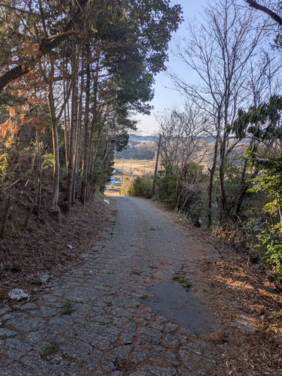 山の湯 — photo 12
