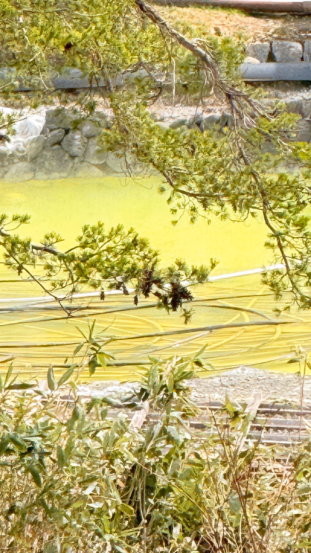 玉川温泉