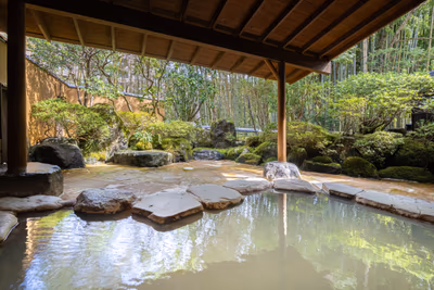Mount View Hakone — photo 09