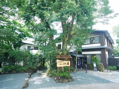 Mount View Hakone — photo 13