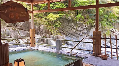 Iya Valley Hot Springs Hotel Hikyō — photo 07