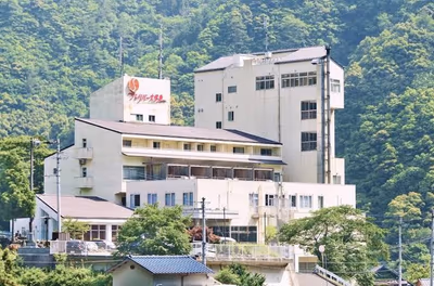 Iya Valley Hot Springs Hotel Hikyō — photo 11