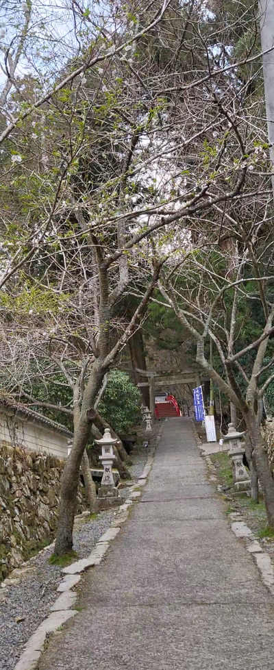 Sera Hot Spring — photo 02