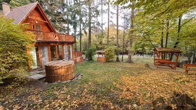 Gyöngyössolymos — photo 03