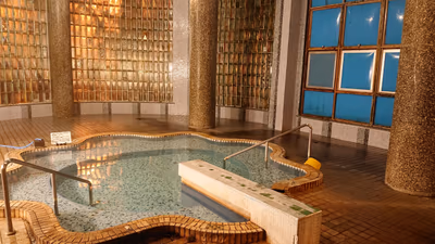 Nukabira Onsen Nakamuraya — photo 15