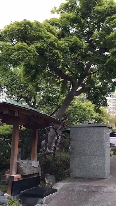 Uguisudani Onsen Takenoha — photo 06