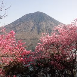 市貝温泉健康保養センター
