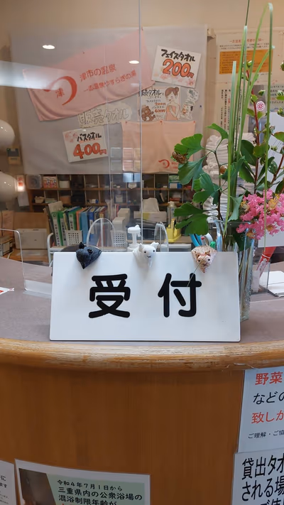 Ichishi Hot Spring — photo 10