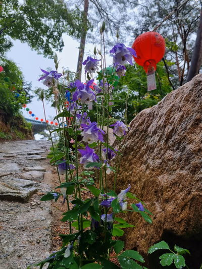 녹천탕 — photo 14