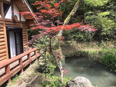 Otani Nishikisou — photo 14