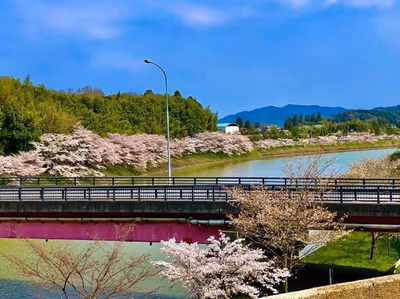 Otani Nishikisou — photo 16