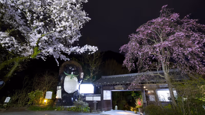 Motoyu Ryokan — photo 06