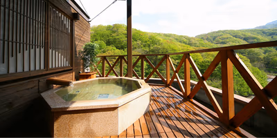 Noji Onsen Hotel — photo 06