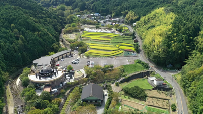 Shikimatsuri — photo 05