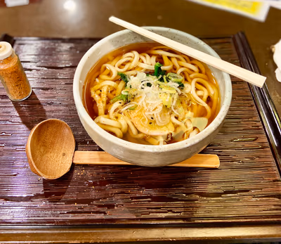 Kabe Onsen Ume no Yu Hot Spring — photo 18