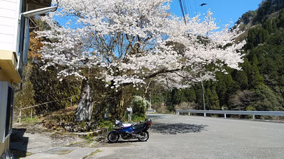 折戸温泉 — photo 12