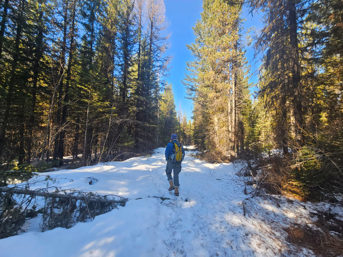 Ram Creek Hot Springs