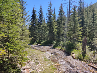 Ram Creek Hot Springs — photo 21