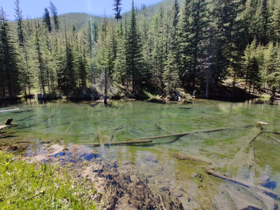 Ram Creek Hot Springs — photo 22