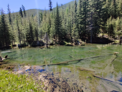 Ram Creek Hot Springs — photo 23