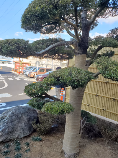 南柏天然温泉 すみれ — photo 18