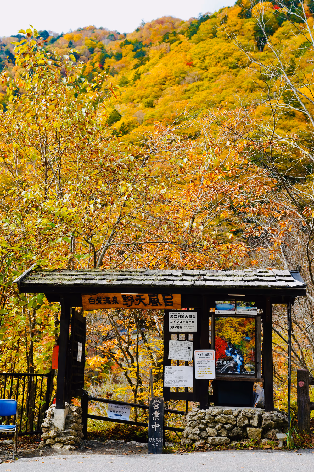 Shirahone Onsen Open