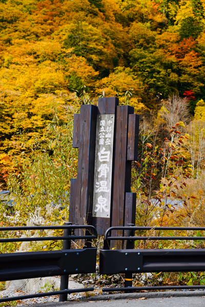 Shirahone Onsen Open — photo 18
