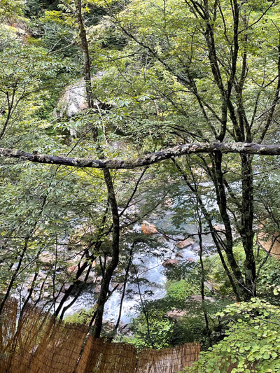 Shirahone Onsen Open — photo 21
