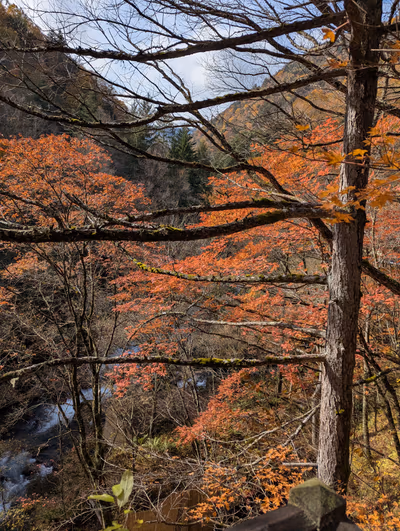 Shirahone Onsen Open — photo 26