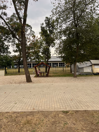 Török Sándor Strandfürdő és Gyarmati Dezső Sportuszoda — photo 14