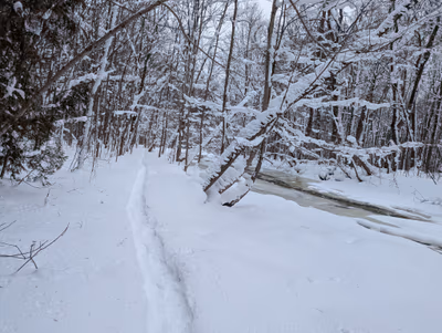 Indian Falls Conservation Area — photo 17
