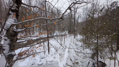 Indian Falls Conservation Area — photo 20