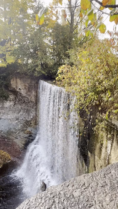 Indian Falls Conservation Area — photo 22