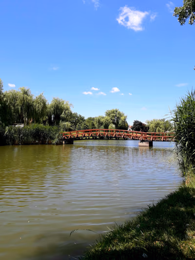 Vésztő — photo 02