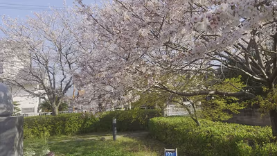 Tennennoyu Nagaoka Hot Spring — photo 04
