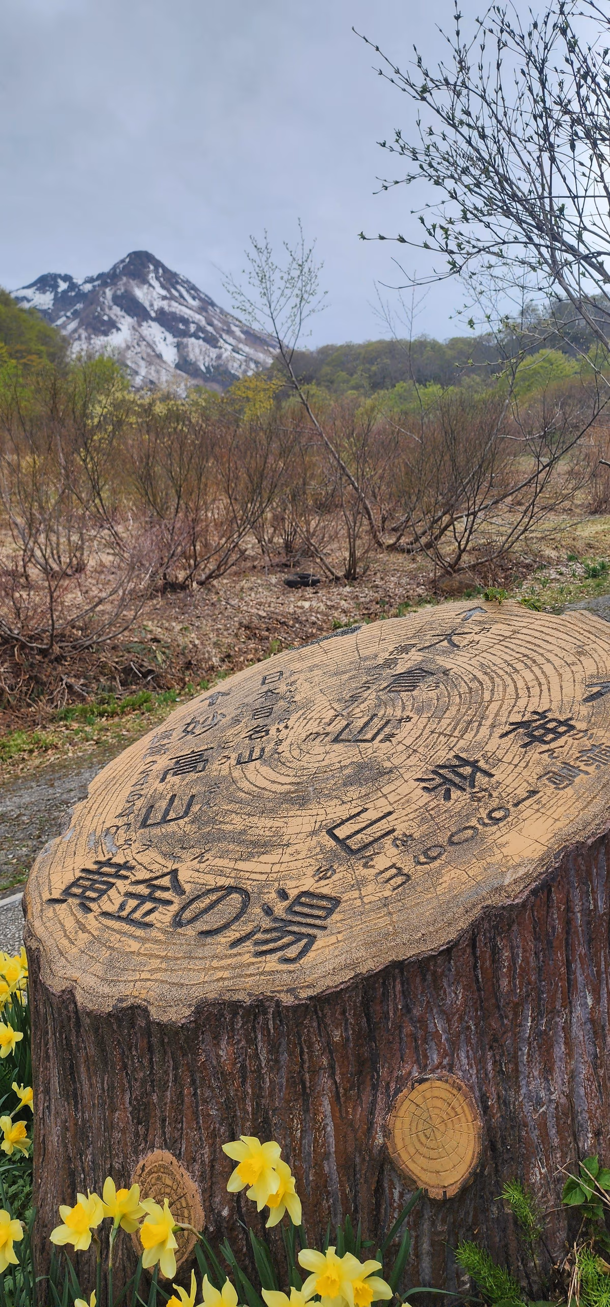 Tsubame Onsen