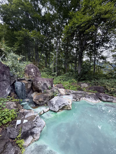 Tsubame Onsen — photo 14