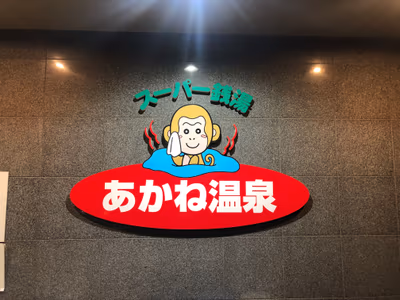 Akane Onsen — photo 17