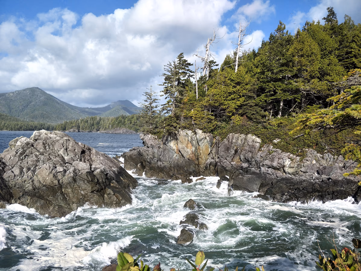 Hot Springs Cove