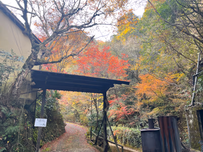 武田尾温泉 元湯 — photo 29