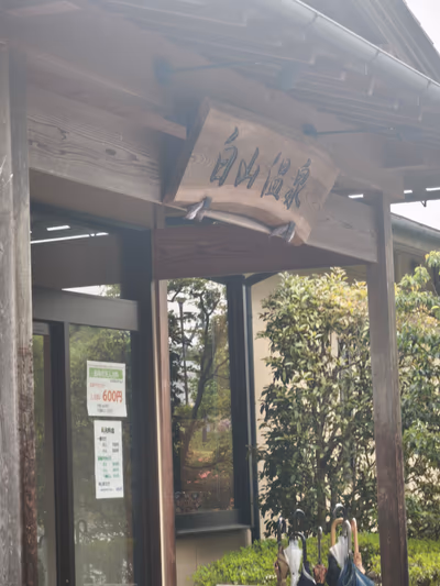 武田乃郷 白山温泉 — photo 14