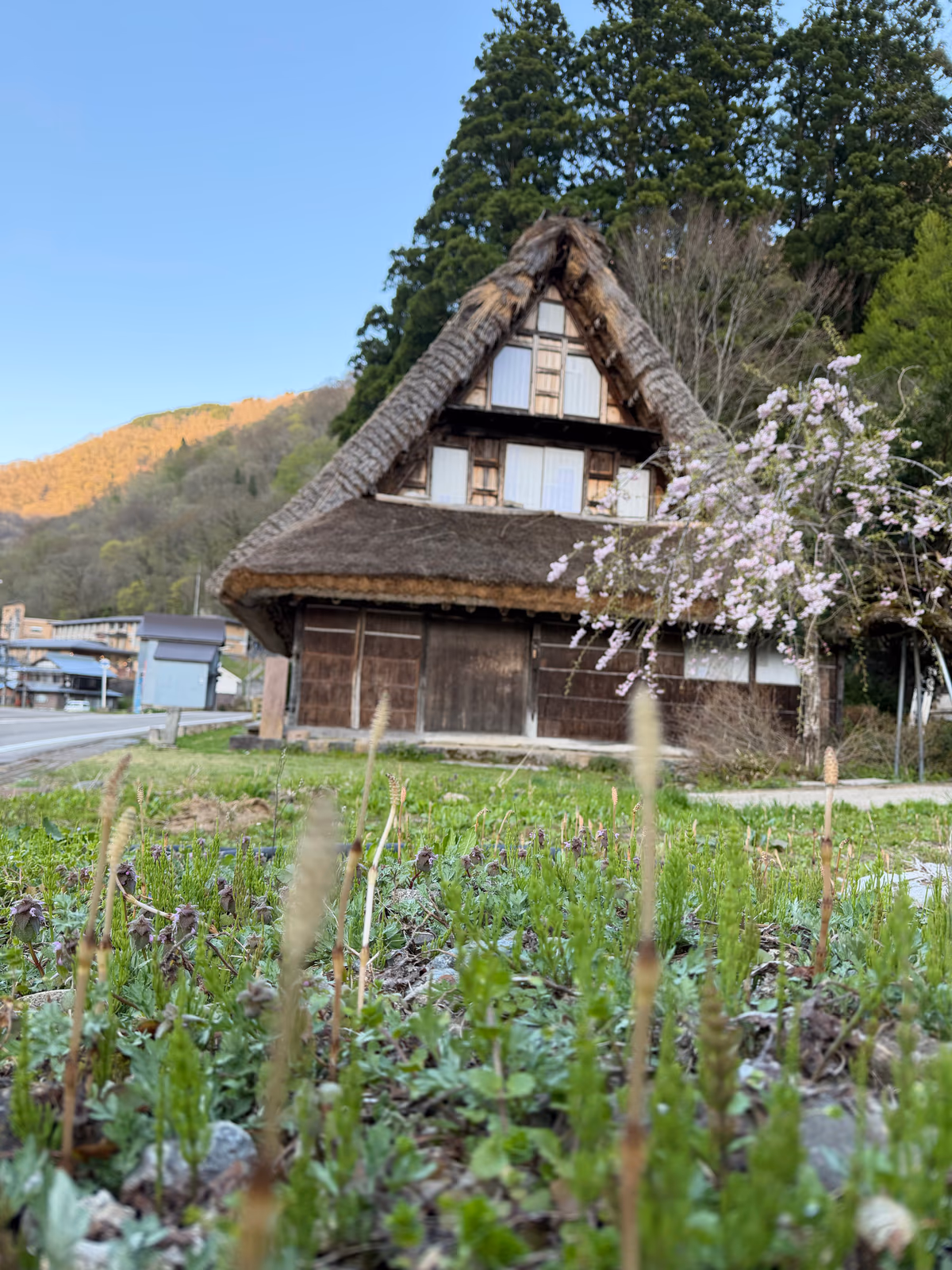 Gokayama Onsen Gokasansou