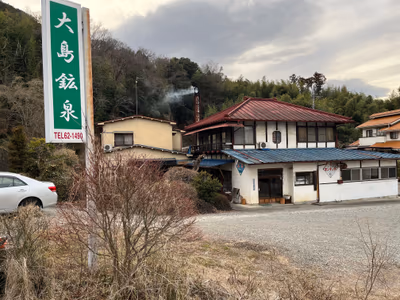 大島鉱泉 — photo 12