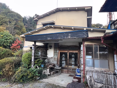 大島鉱泉 — photo 19