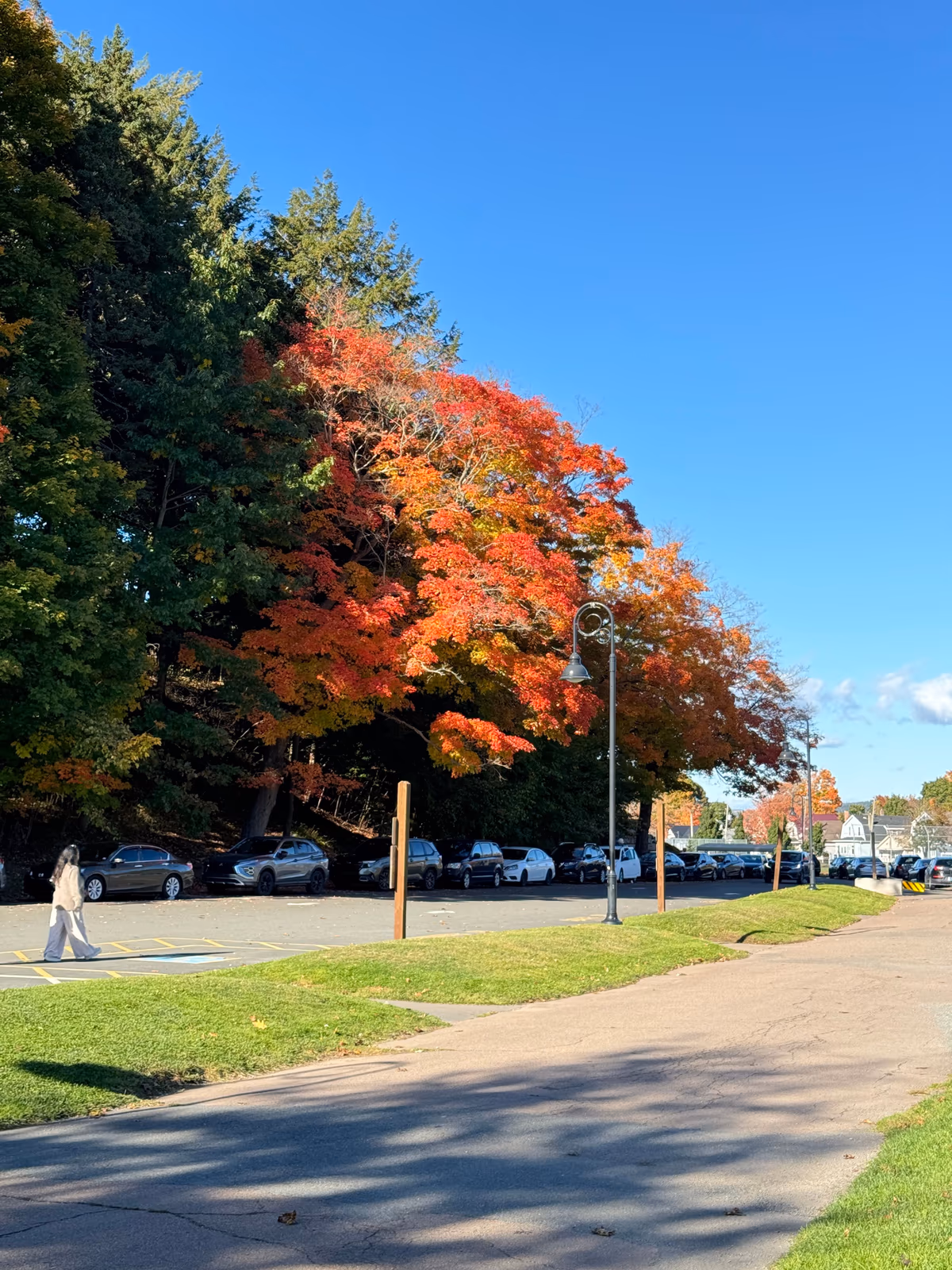 Victoria Park