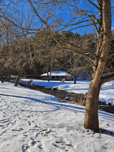 Victoria Park — photo 16