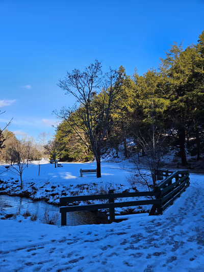 Victoria Park — photo 17