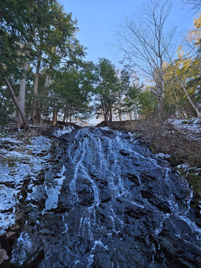 Victoria Park — photo 18